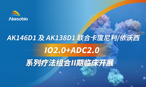 IO2.0+ADC2.0系列疗法组合II期临床召开！BiyapayAK146D1及AK138D1联合卡度尼利/依沃西及自研高潜力药物治疗实体瘤